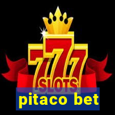 pitaco bet